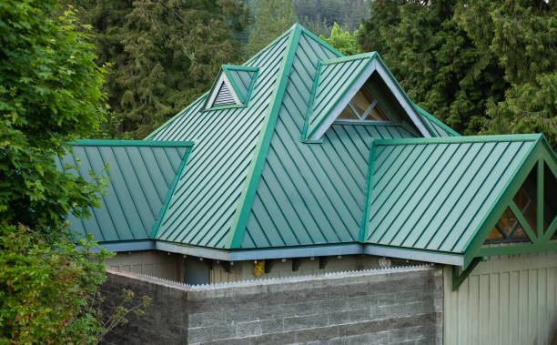 Best Solar Panel Roofing Installation  in Arnold, MO